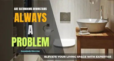 The Challenges of Downstairs Bathrooms: Exploring Common Issues and Solutions