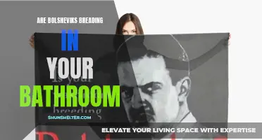 Is Your Bathroom Breeding Ground for Bolsheviks?