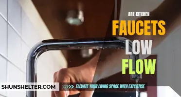 Are Kitchen Faucets Really Low Flow? Exploring Water Efficiency in the Kitchen