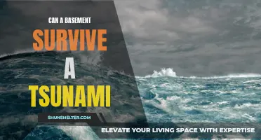 Can a Basement Withstand the Impact of a Tsunami?