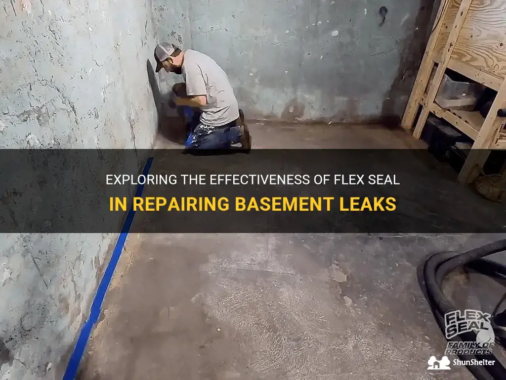 can flex seal fix basement leaks