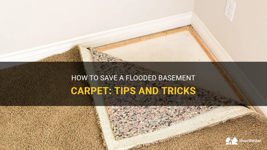can flooded basement carpet be saved