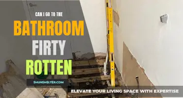 Exploring the Importance of Accessible Bathrooms: Can I Go to the Bathroom? Discovering the Impact of 'Dirty Rotten' Facilities