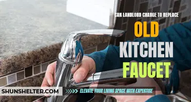 Exploring the Legality of Landlords Charging to Replace Old Kitchen Faucets