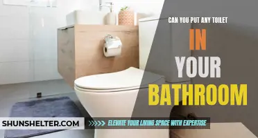 Is it Possible to Put Any Toilet in Your Bathroom?