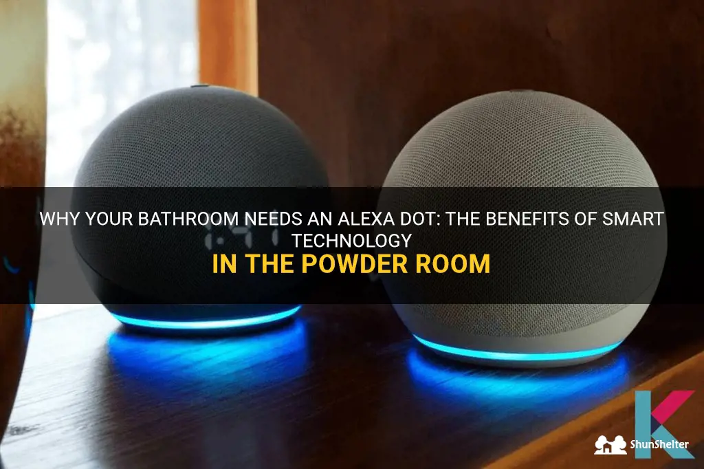 can you use an alexa dot in the bathroom