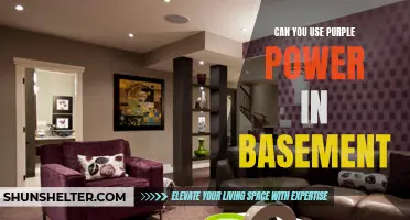 Exploring the Use of Purple Power in Basement Cleaning: A Guide for a Sparkling Space