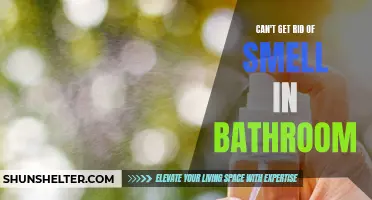 The Ultimate Guide to Eliminating Unpleasant Odors in Your Bathroom
