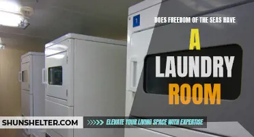 Exploring the Necessity of Laundry Rooms on Cruise Ships: Does Freedom of the Seas Provide this Amenity?