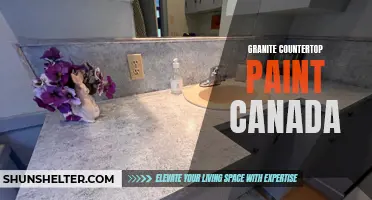 The Guide to Granite Countertop Paint in Canada: Transform Your Kitchen with a Fresh Look