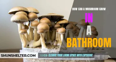 The Unexpected Intrusion: Understanding How Mushrooms Thrive in Bathrooms