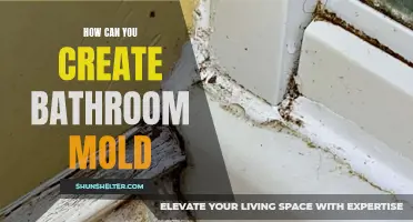 Creating Bathroom Mold: Tips and Tricks for an Unhealthy Environment