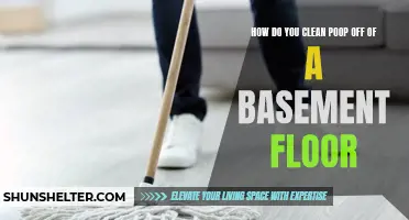 The Ultimate Guide to Cleaning Poop Off of a Basement Floor
