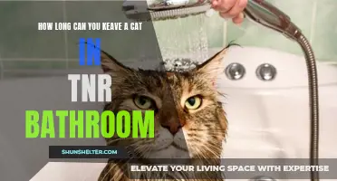 The Ideal Duration for Keeping Your Cat in the Bathroom