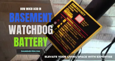 The Acid Level in the Basement Watchdog Battery: What You Need to Know