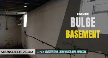 The Hidden Truth About the Surprising Bulge in Your Basement