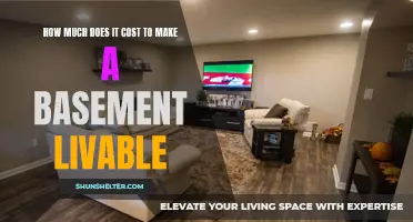 The Cost of Making a Basement Livable: A Comprehensive Guide