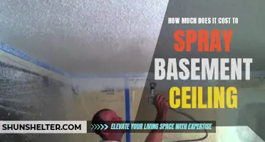The Cost of Spraying a Basement Ceiling: What You Need to Know