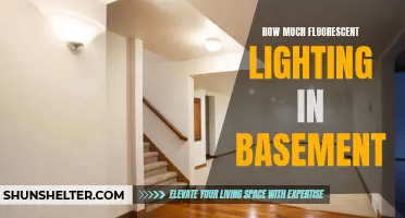 The Importance of Properly Lighting Your Basement with Fluorescent Lighting