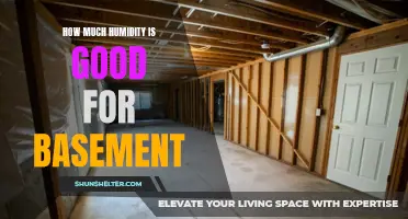 The Importance of Maintaining Optimal Humidity Levels in Your Basement