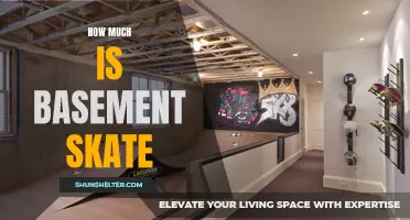 The Price Tag of Basement Skate: How Much Does it Cost?