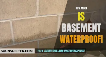 The True Cost of Basement Waterproofing: What You Need to Know