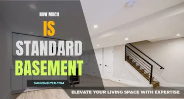 The Cost of a Standard Basement: What You Need to Know