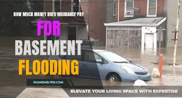 Understanding Insurance Coverage for Basement Flooding: How Much Money Will You Receive?