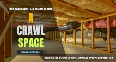 Comparing the Cost: Basements vs. Crawl Spaces