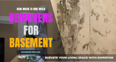 The Cost of Hiring Mold Removers for Your Basement