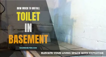 Factors to Consider for Installing a Toilet in the Basement