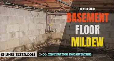 Eliminating Mildew from Your Basement Floor: A Step-by-Step Guide