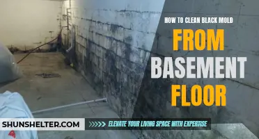 Effective Ways to Clean Black Mold from Basement Floor