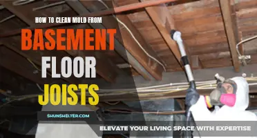 Effective Methods for Cleaning Mold from Basement Floor Joists
