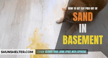 Removing Cat Urine Odor from Basement Sand: Essential Tips and Tricks