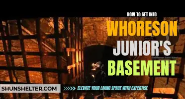 Exploring the Mysterious Depths: Unveiling Whoreson Junior's Basement