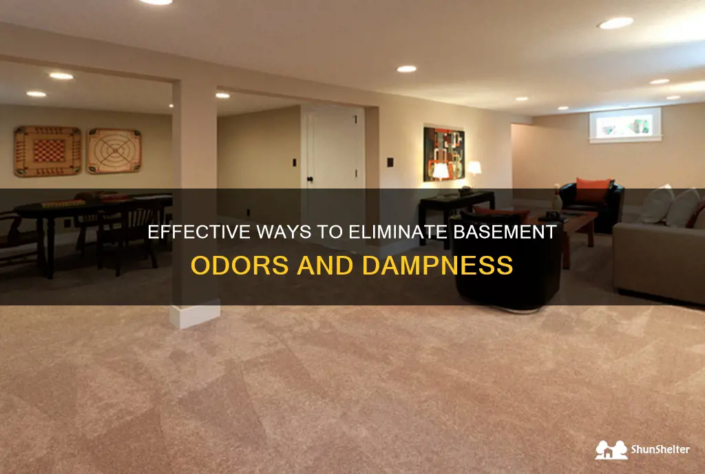 how to get rid in a basement