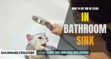 The Ultimate Guide to Eliminating Fleas in Your Bathroom Sink