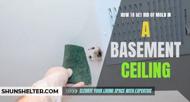 Effective Ways to Remove Mold from a Basement Ceiling