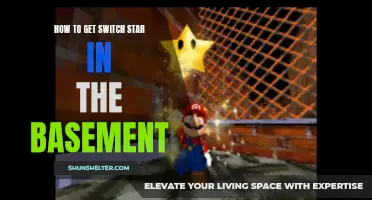 Unlocking the Elusive Switch Star: A Guide to Finding the Basement's Hidden Gem