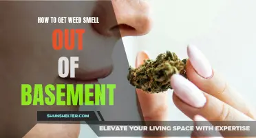 Effective Strategies for Eliminating Weed Smell in Your Basement