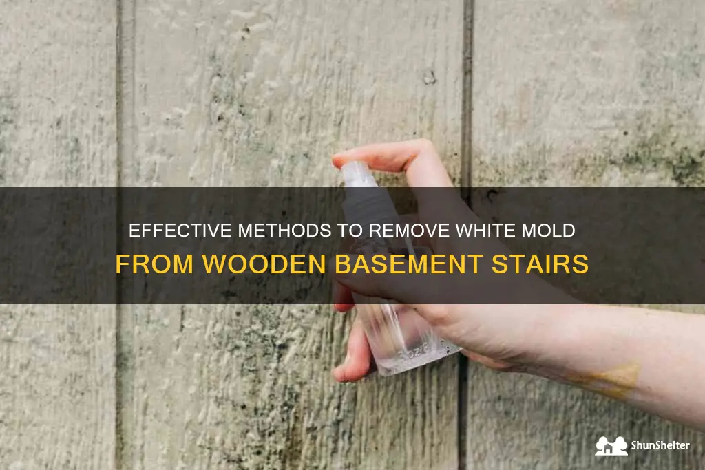 Effective Methods To Remove White Mold From Wooden Basement Stairs ...