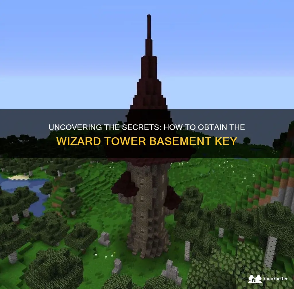 how to get wizard tower basement key