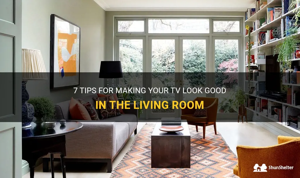 7 Tips For Making Your Tv Look Good In The Living Room | ShunShelter