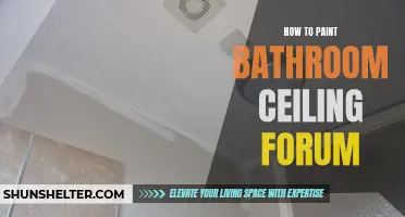 What are the best techniques for painting a bathroom ceiling? Discover expert advice and tips from our forum!