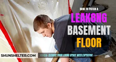 Fixing a Leaking Basement Floor: Tips and Techniques