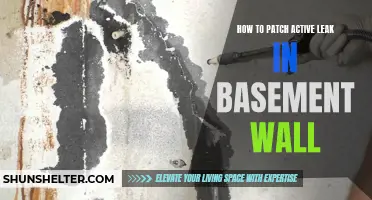 How to Effectively Patch an Active Leak in Your Basement Wall