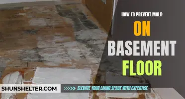 Preventing Mold on Basement Floors: Effective Tips and Techniques