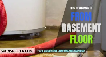 The Ultimate Guide to Pumping Water from Your Basement Floor