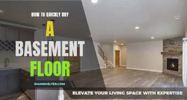 Effective Techniques for Drying a Basement Floor in No Time